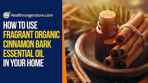 How to use fragrant Organic Cinnamon Bark Essential Oil in your home
