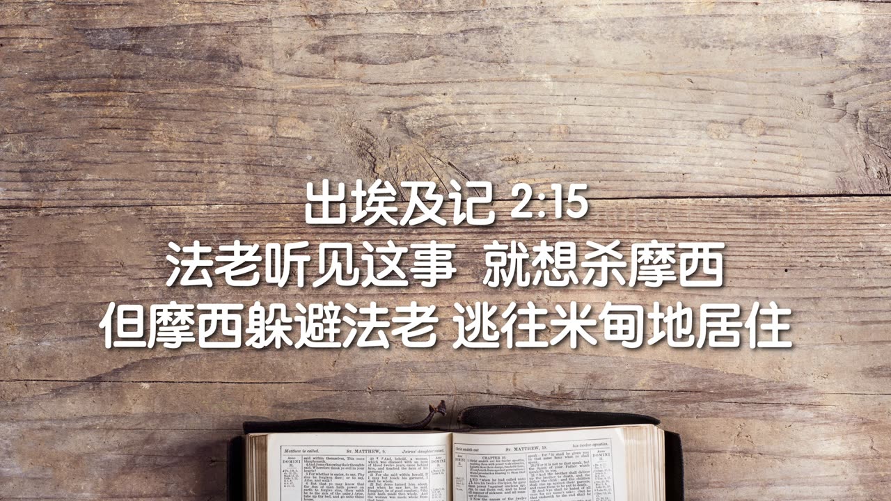 爱那不可爱的