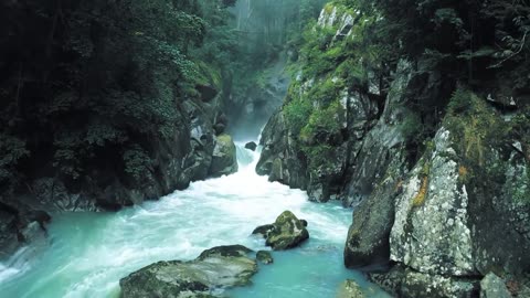 Nature Video Full HD 1080p