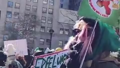 Feb 2025 Luigi protest in NYC outside of court