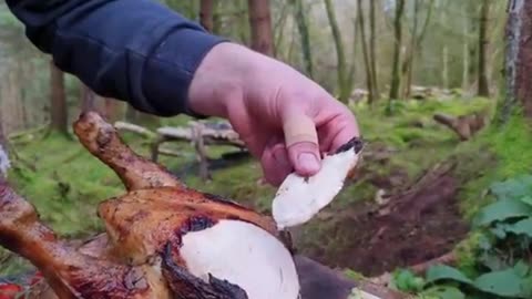 🔥Whole Chicken Prepared in the Forest🔥 Relaxing Cooking