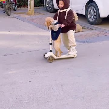 Adorable Kids and Playful Puppies Bring Joy