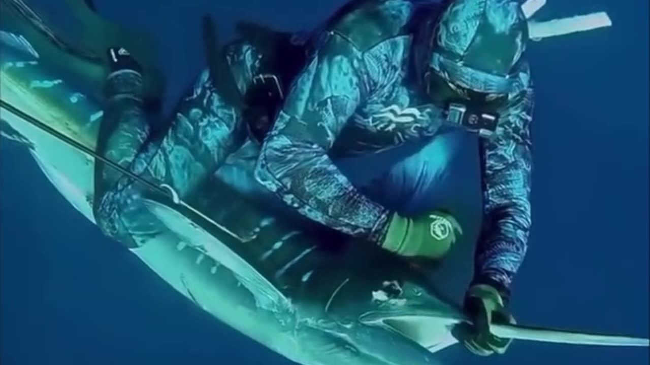 Underwater spears fishing