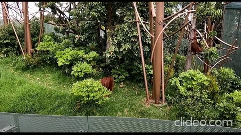 Auckland Zoo New Zealand Tour