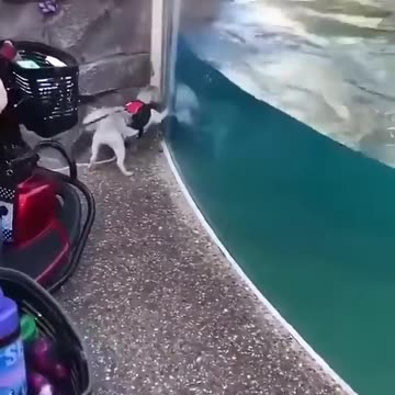 My new best friend 😊