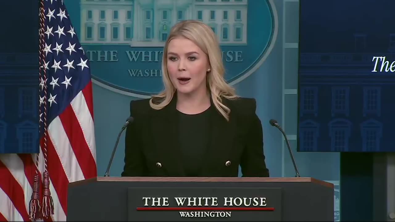 Karoline Leavitt takes on the "DEMONcraps"...