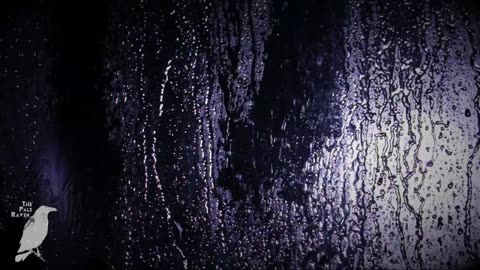 Calming Rain Sounds on a Dark Window: 2 Hours for Sleep and Mental Wellness