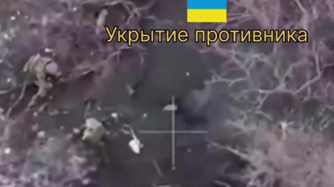 Russia 🇷🇺 Ukraine 🇺🇦 War