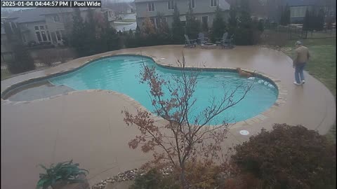 Dog and Owner Slip on Patch of Poolside Ice