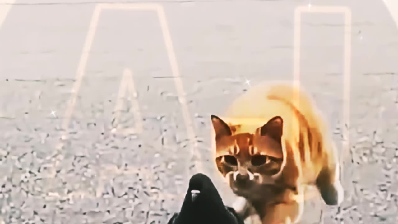 Funnyinemalvidio