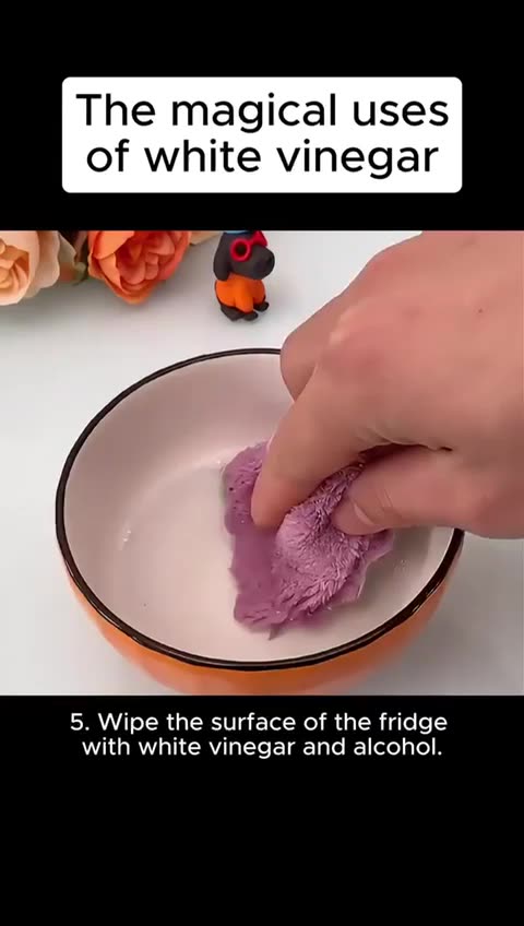 Uses of white Vinegar