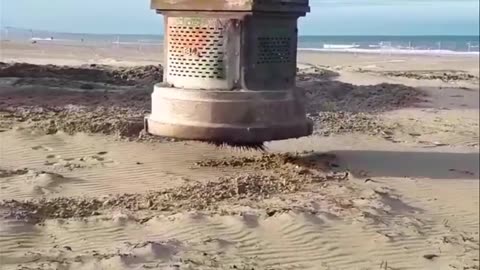 Build bonfires on the beach to see who can build the biggest one