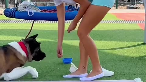 Dog vs. Workout - Guess Who Wins 🐾🤣 #dog #dogs #dogfunny #funnydogs | Funny Weird RMF Media