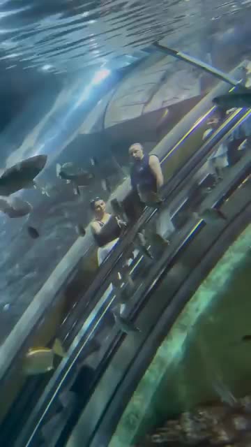 Would You Dare to Take an Elevator to the Ocean Floor? 🌊😮