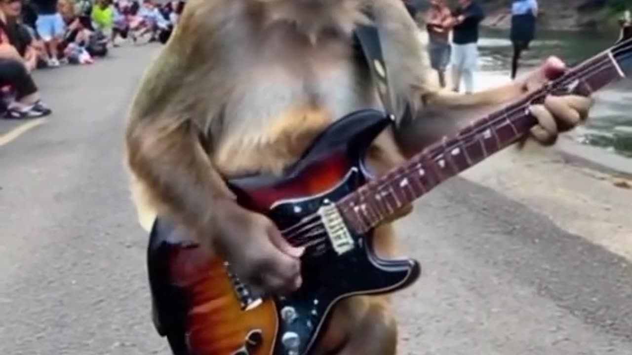 Monkey music