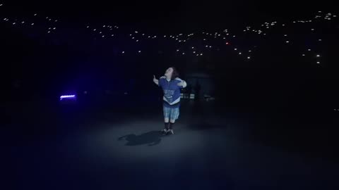 Billie Eilish-WILDFLOWER ( BILLIE BY FINNEAS)