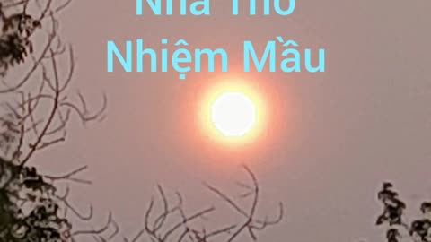 nhà thơ nhiệm mầu ( hội long hoa )