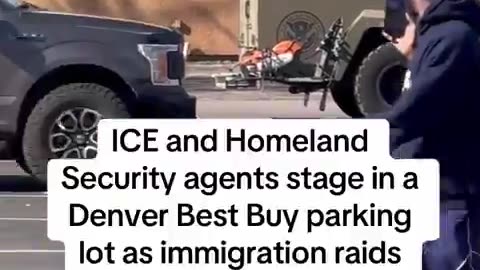 Sanctuary City Denver, Colorado getting HAMMERED by ICE 💥