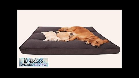 Pet Calming Bed Soft Warm Cat Dog House Small Large Washable Mat Review