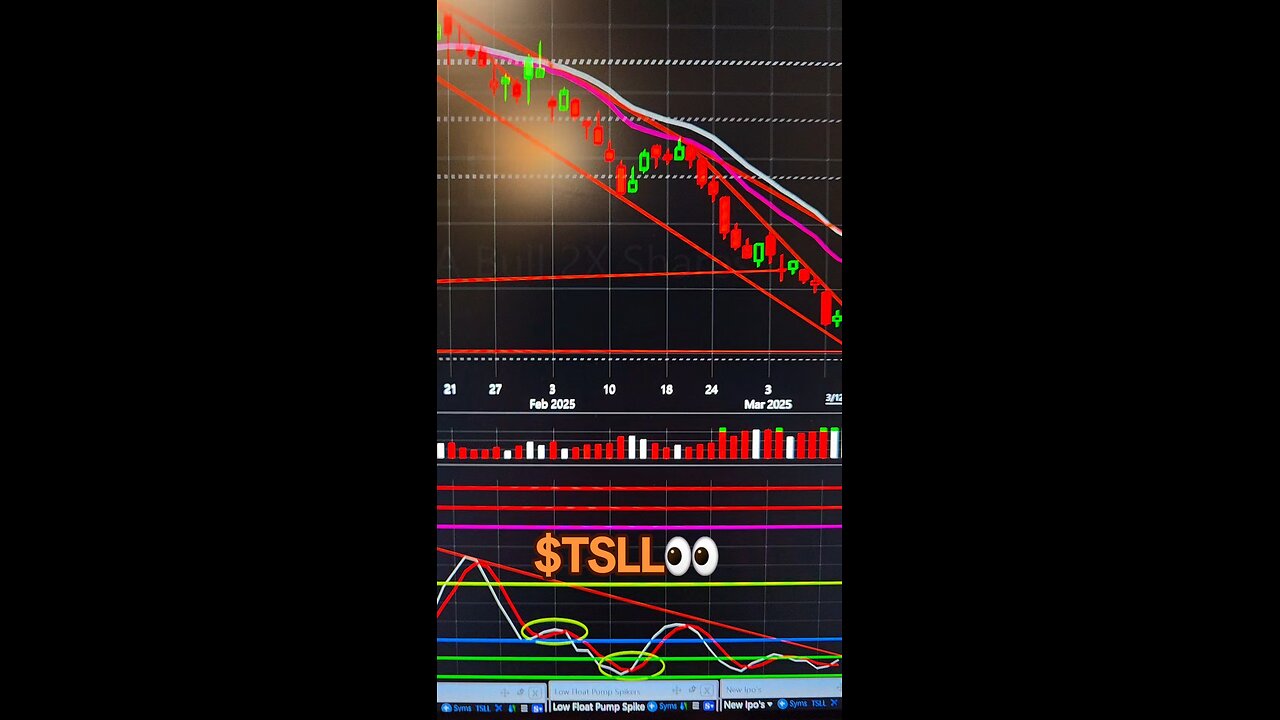 $TSLL👀