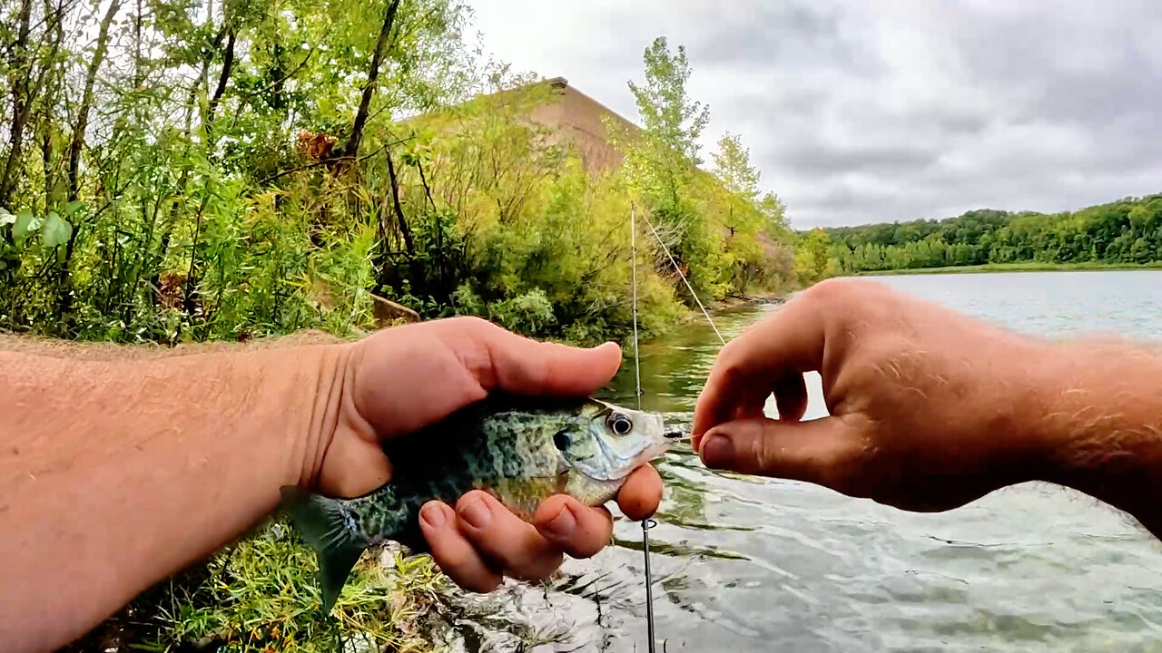 Back to the Basics Bluegill Fishing