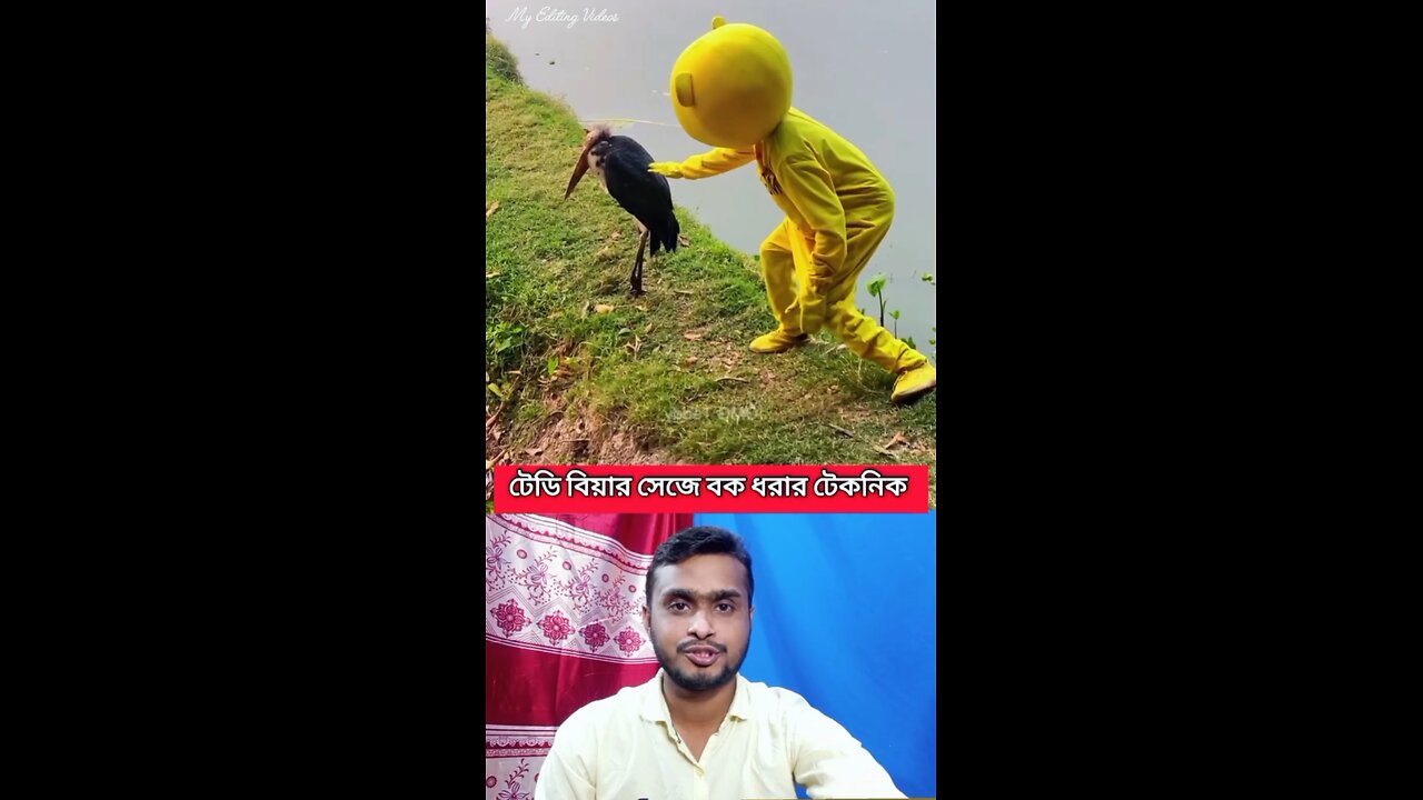 টেডি বিয়ার সেজে বক ধরার টেকনিক #shorts #viral #funny