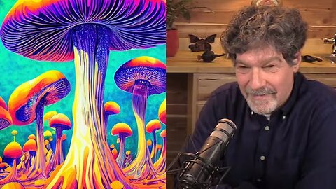 Bret Weinstein is RIGHT on Psychedelics