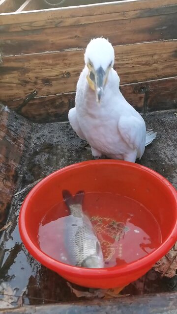 Greed is curse | don't follow your lusts | it ruins to want more then you need