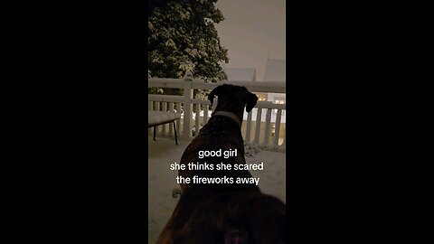 dog scared the fireworks away