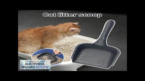 Bathroom Thickened Cat Litters Shovel Hollow Washable Litter Poop Separator For Living Review