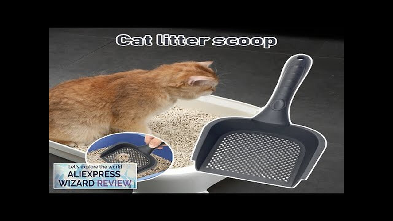 Bathroom Thickened Cat Litters Shovel Hollow Washable Litter Poop Separator For Living Review