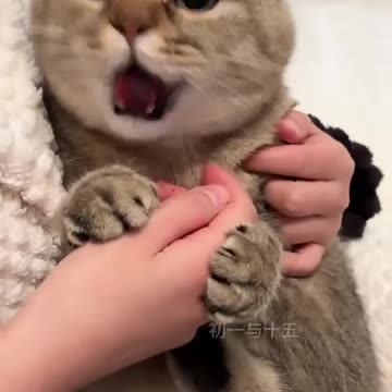 He really loves eating crunchy snacks