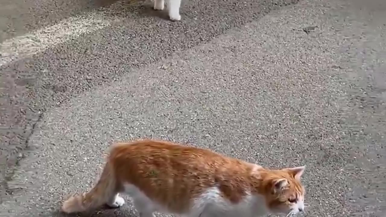 Glitch in the matrix?