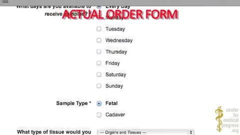 Sequel to the fall of the cabal (Part 6 - United Nations 2) (Janet Ossebaard & Cyntha Koeter)