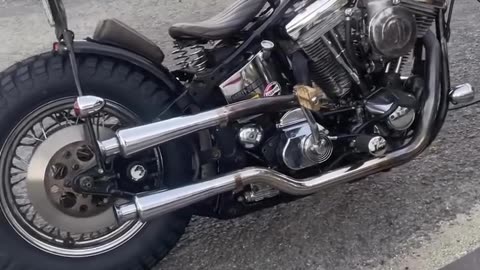 Custom 268