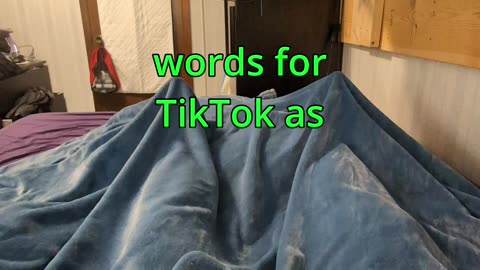 How to Access Tiktok filtered words list