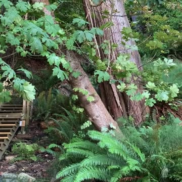 Your Reward Is The Process | Path and Tarot Reading