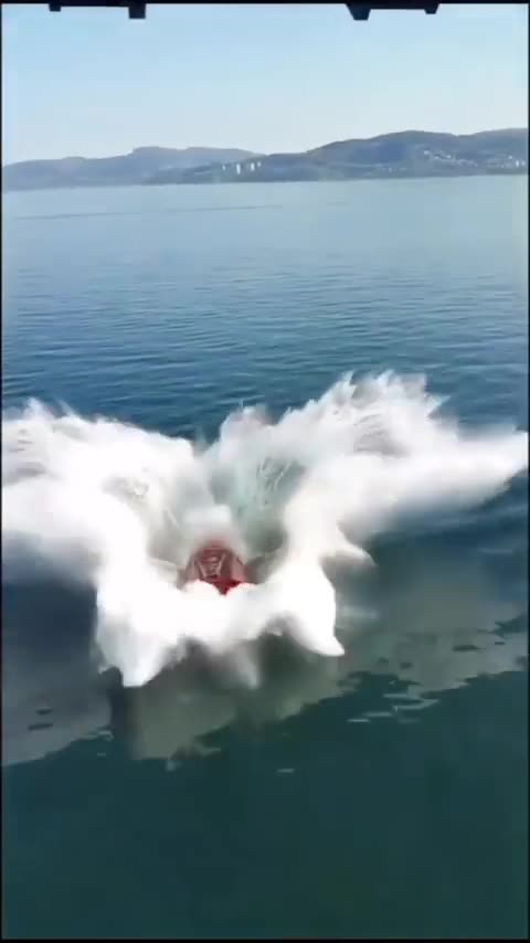 Lifeboat Test - Free Fall