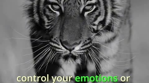 🧘‍♂️ “Control your emotions, or your emotions will control you.” 🧘‍♀️