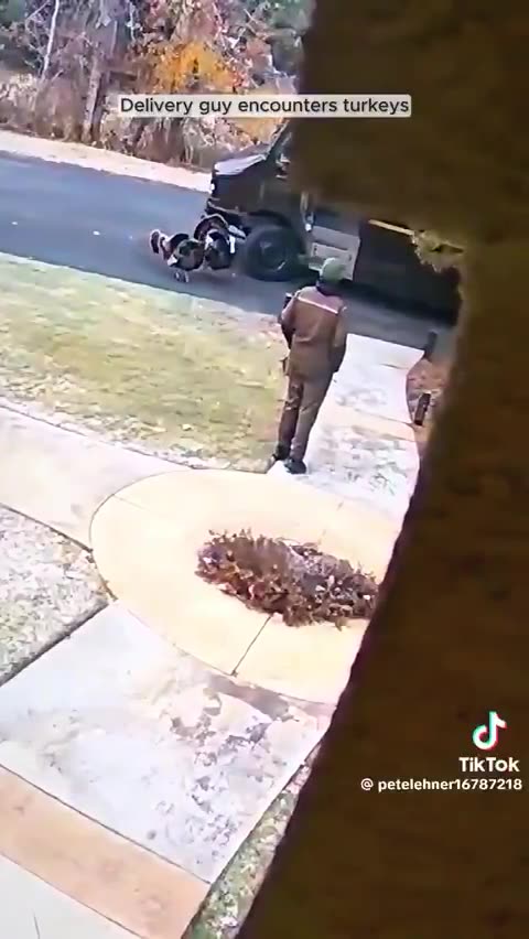 The neighborhood bullies are demanding tribute.