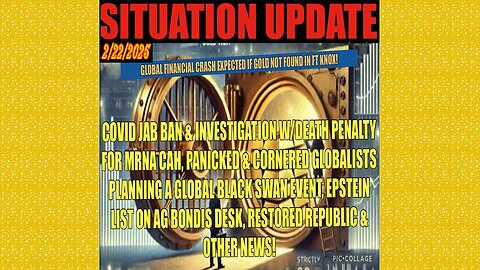 SITUATION UPDATE 2/22/25 - FT Knox Gold Audit, Epstein List, Covid Jab Investigations & Ban & More