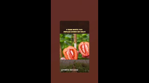 👀👀👀👀👀👀😳👀👀