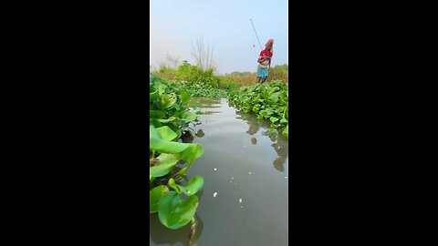 Village Woman & a Boy Hook Fishing In Canal