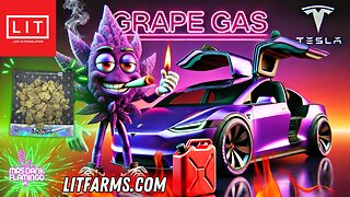 Enjoying Grape Gas Preferred from Lit Farms! Mrs Dank Flamingo Review!!