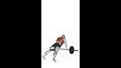 Incline Barbell Row Exercise.