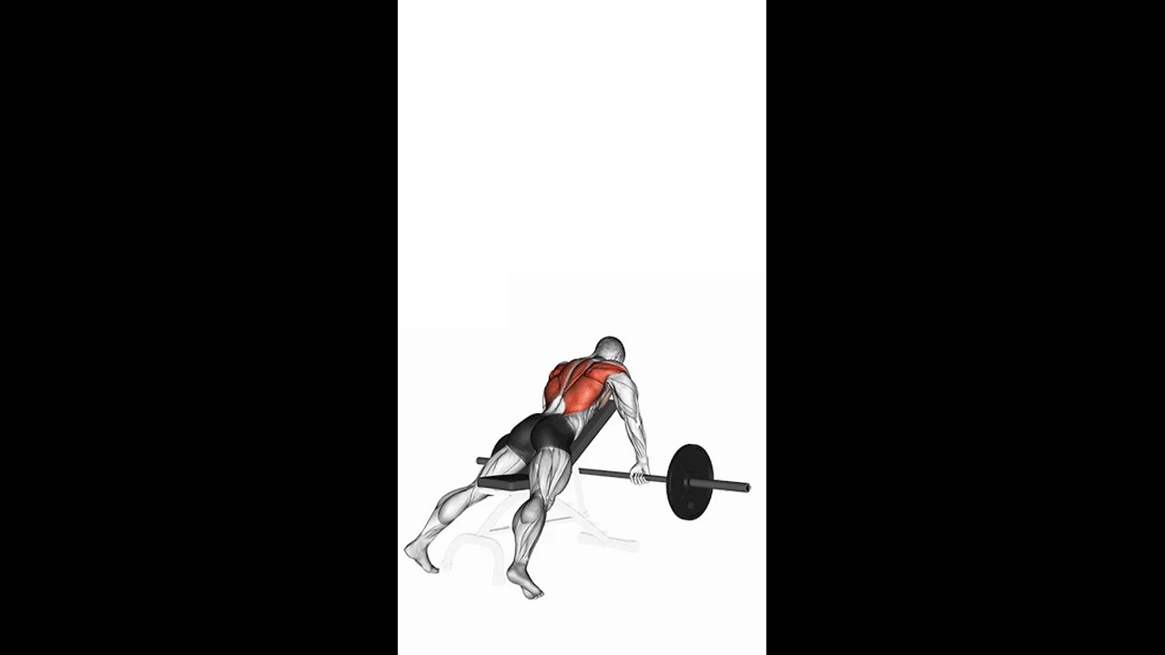 Incline Barbell Row Exercise.