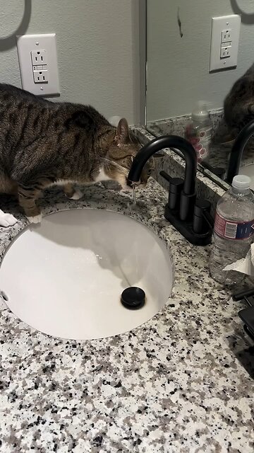 240606 Kornbread faucet drinking