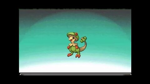 Specializing in Grass type Pokémon, Platinum Paythrough 1.12