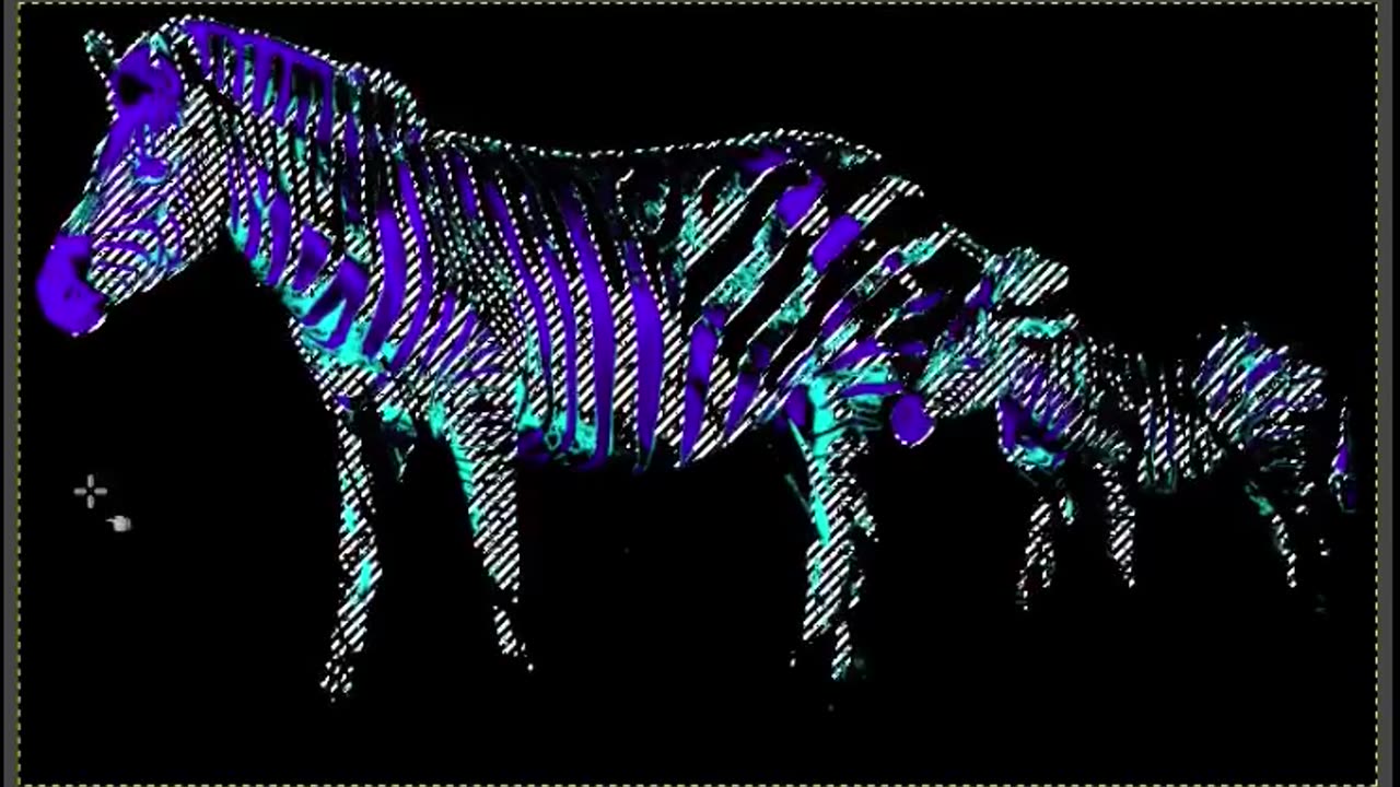 Zebra #drawing