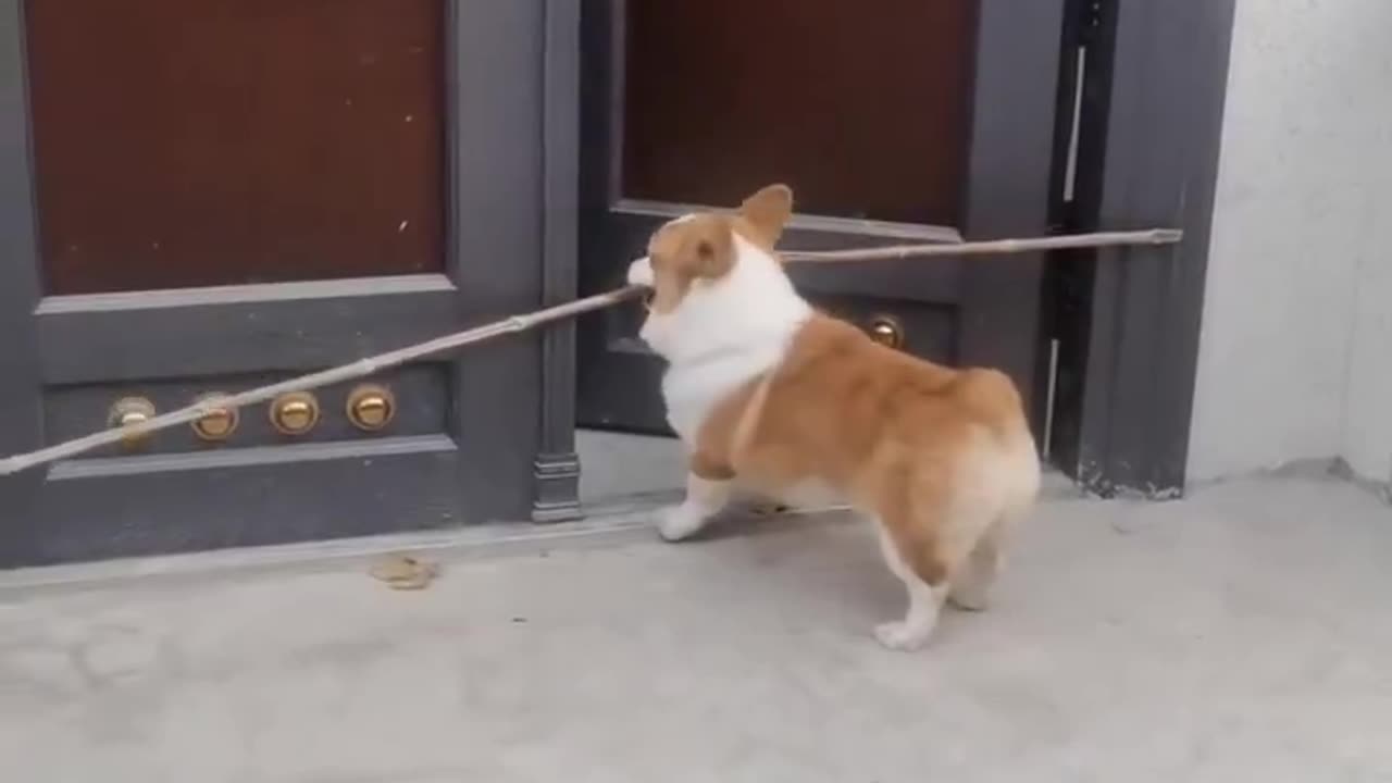 Seems to be a little smart